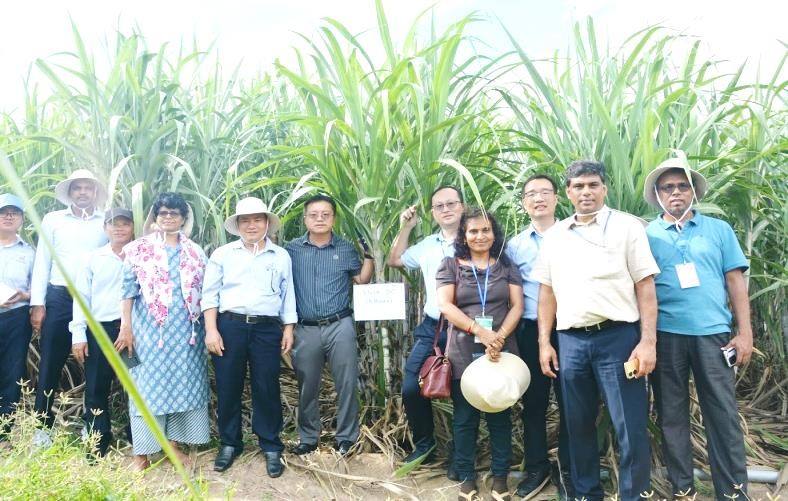 8th IAPSIT International Sugar Conference ISC-2024 & Sugar Expo, 2024 &mdash; photo 5